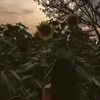 lili_thestic