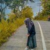 norwinda503