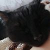 hima_nari14