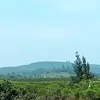 lyhai999