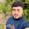 t_dad16