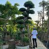 greenlandscape.id