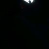 boran__7
