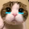 _ngoccnhii_1302
