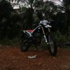 dendi13057