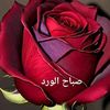 user5434667803841