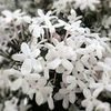 nour.mohammed5476