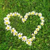 oum__jihane