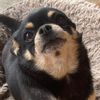 betty_is_cute