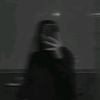 blueberry_1219