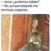 franciscocaro944