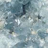 _____celestine_____