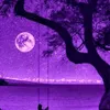 hv__nm__ve