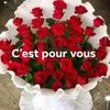 nono_belle_viie
