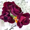 aboabdullah229