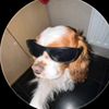 arlo._01