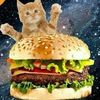 sillycheeseburgercat