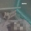 alsaudi78