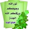 user7937316924205