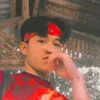 vincesiblo