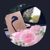 user2106836273037