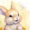 cloesam.1