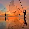 leminh_34