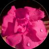 umair_ahmed986