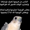 user7613568386129