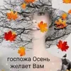 user104311327516206