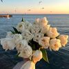noody_48