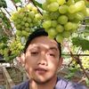 parvizgrape