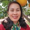 nguyenlan5171