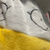 whiteduck.p