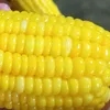 clarkvei