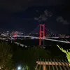 selen_y61