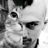travisbickle82