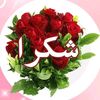 mumad184