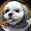 oreo20181021
