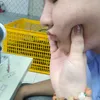 co_hai_tien