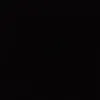 dina_2028.jk
