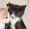 khsh.hyfn_