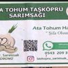 mysarimsak