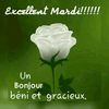 user7161721978613