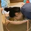 cutepet355