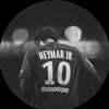 full_cris4