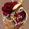 suliman.abu.seid