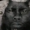 xomiak50