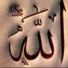 mohammadafzalchakari001