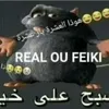 x_ratao_